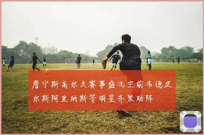 詹宁斯高尔夫赛事盛况空前韦德皮尔斯阿里纳斯等明星齐聚助阵